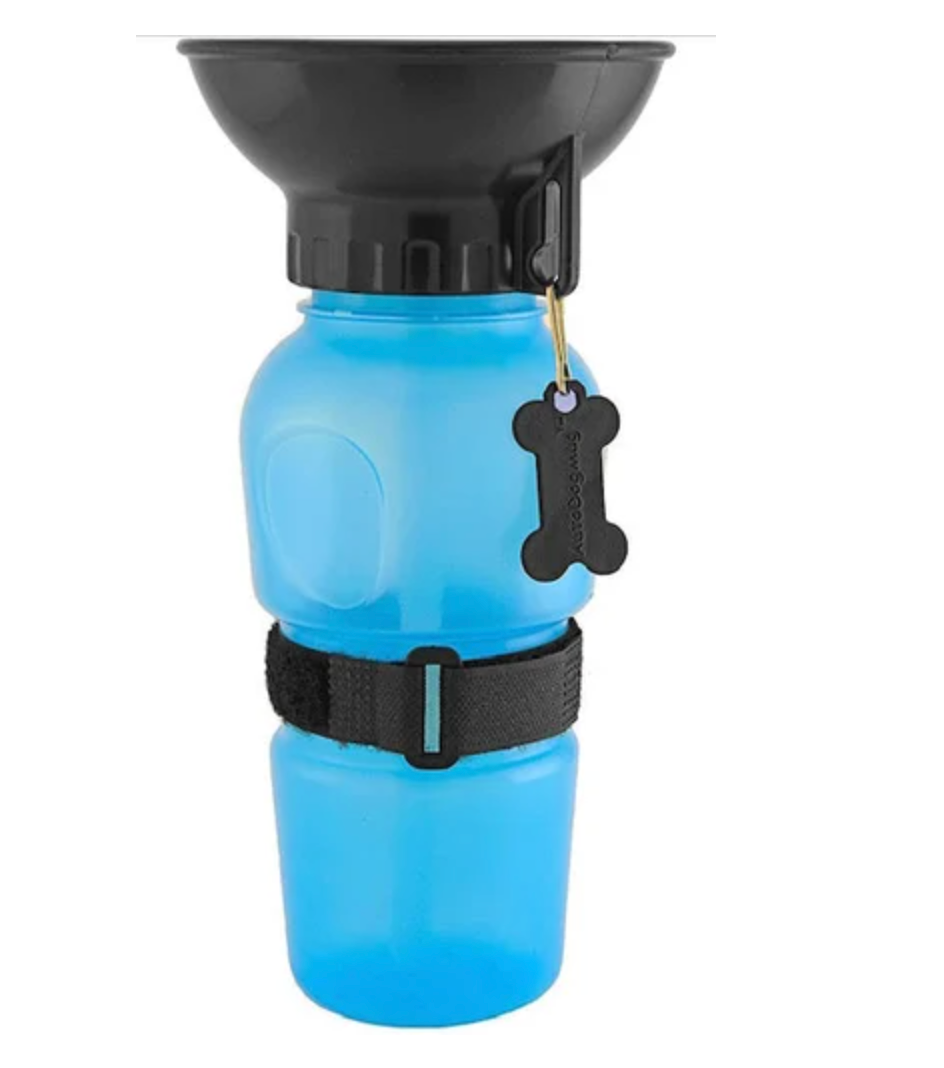 ๐ถ PetPawz Combo: Hydration + Grooming Essentials