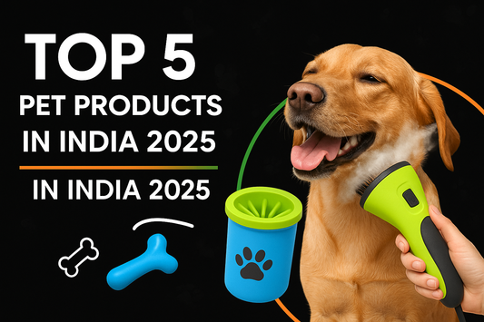 🐾 Top 5 Must-Have Pet Products in India for 2025