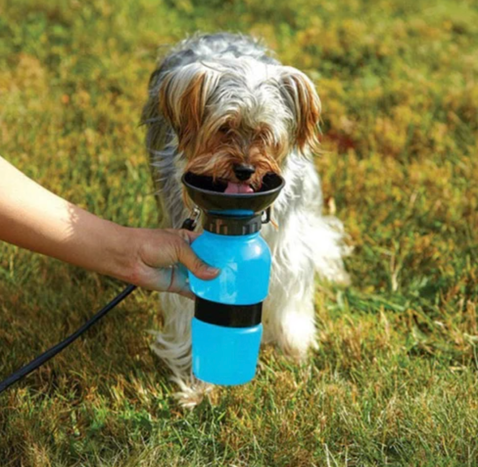 Hydrate On-the-Go: Portable Pet Water Bottle – 500ml