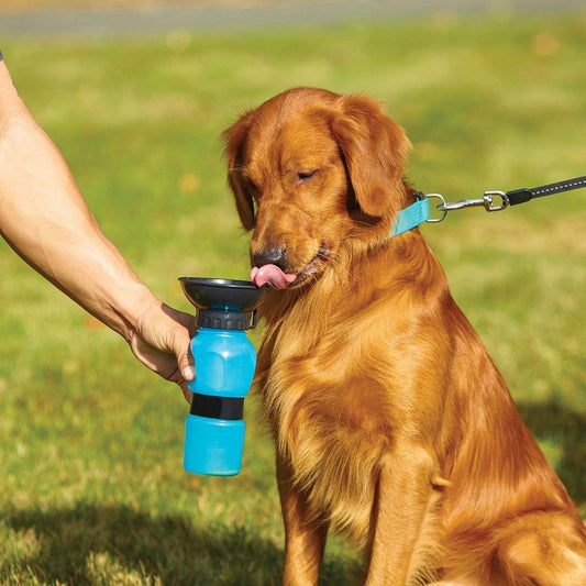 Hydrate On-the-Go: Portable Pet Water Bottle – 500ml